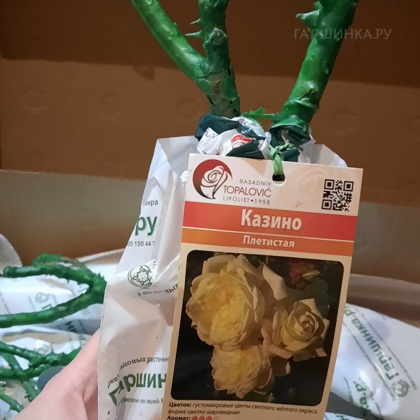 превью изображения отзыва