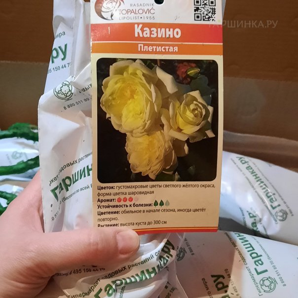 превью изображения отзыва