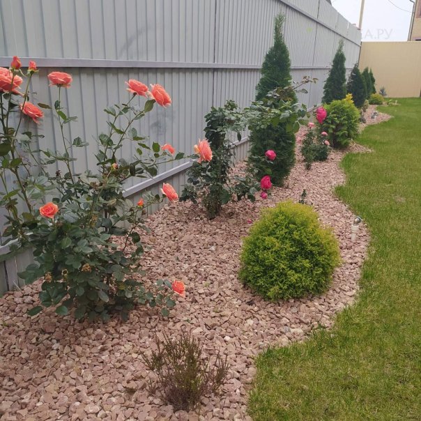 превью изображения отзыва