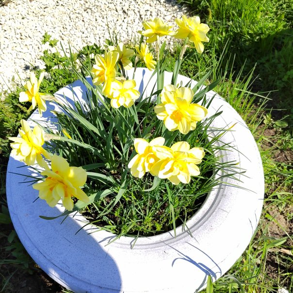 превью изображения отзыва