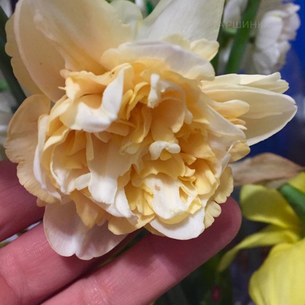 превью изображения отзыва