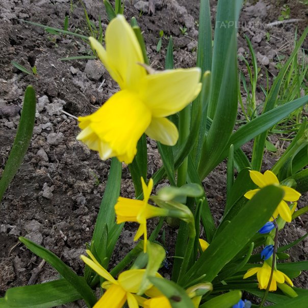 превью изображения отзыва