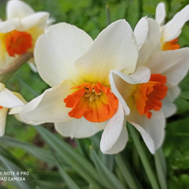 превью изображения отзыва