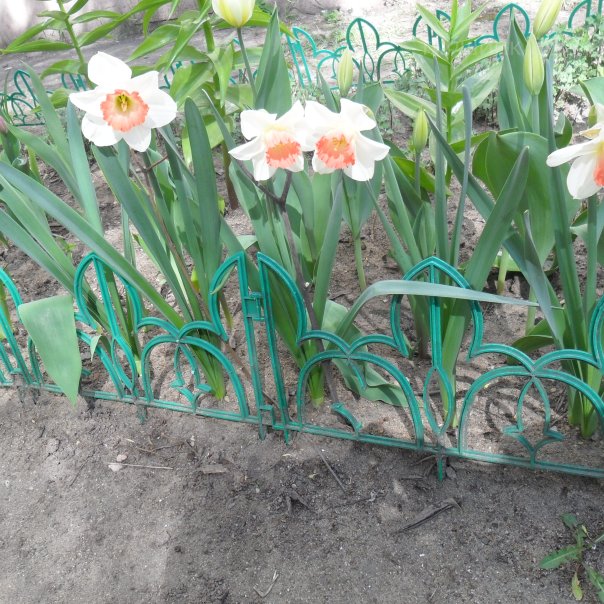 превью изображения отзыва