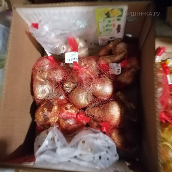 превью изображения отзыва