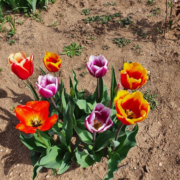 превью изображения отзыва