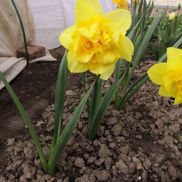 превью изображения отзыва