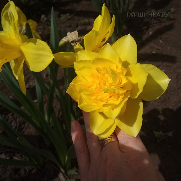 превью изображения отзыва