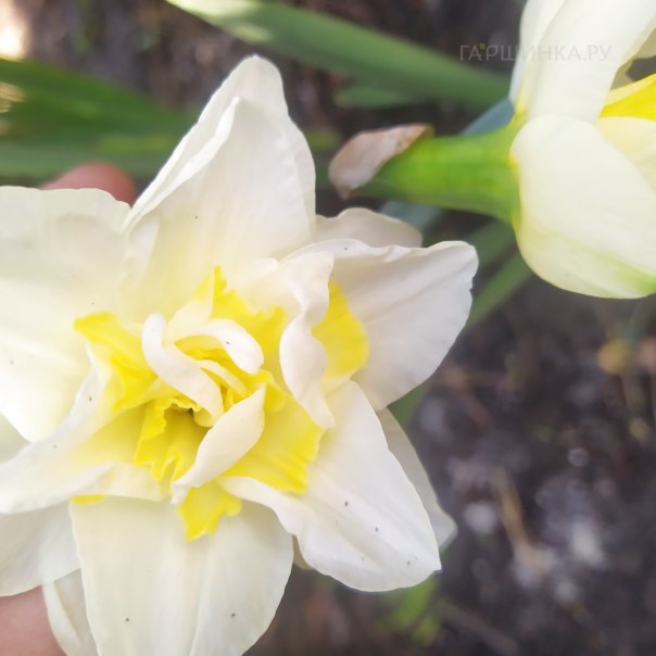 превью изображения отзыва