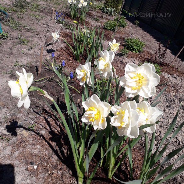 превью изображения отзыва