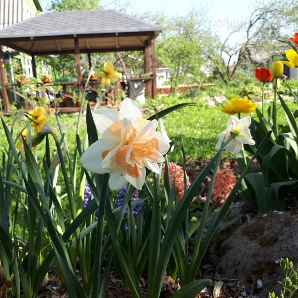 превью изображения отзыва