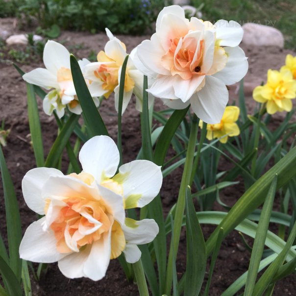 превью изображения отзыва