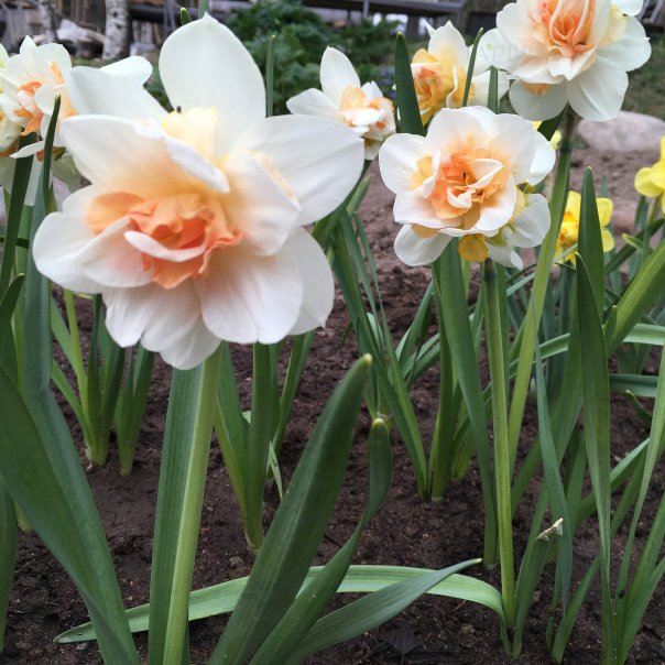 превью изображения отзыва