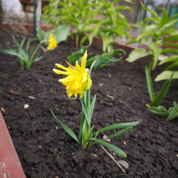 превью изображения отзыва