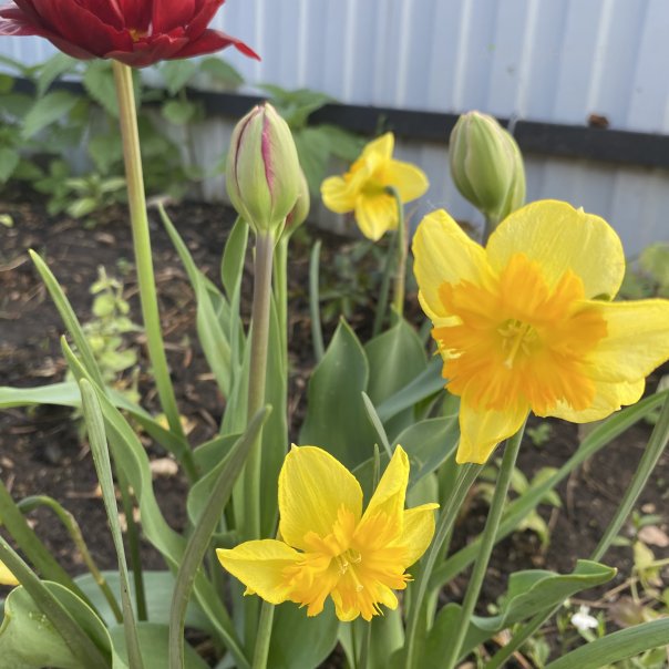 превью изображения отзыва