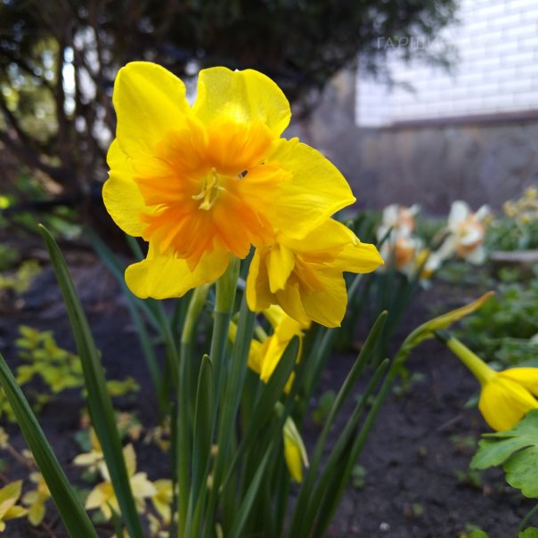 превью изображения отзыва