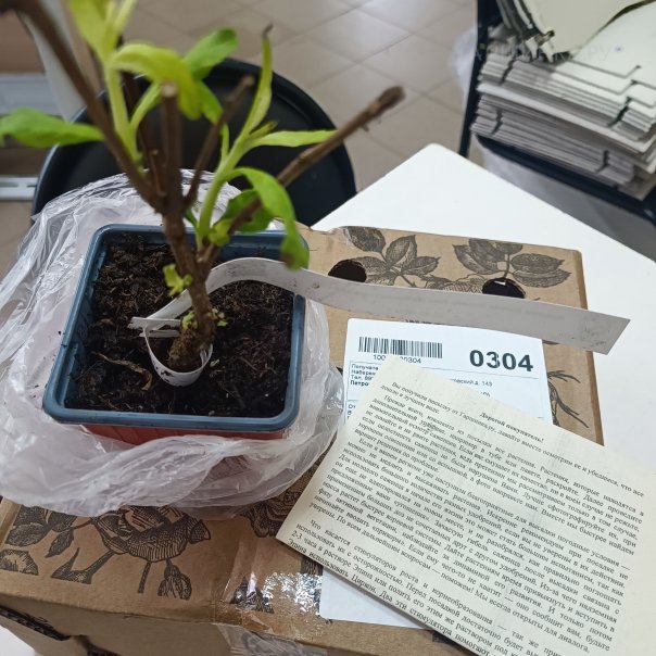 превью изображения отзыва