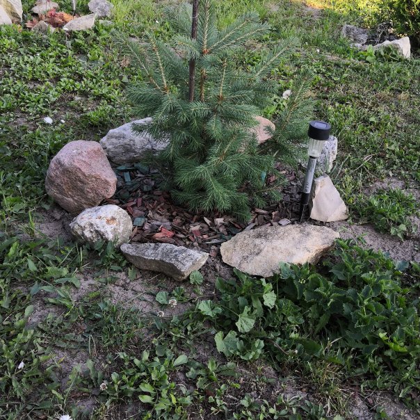 превью изображения отзыва