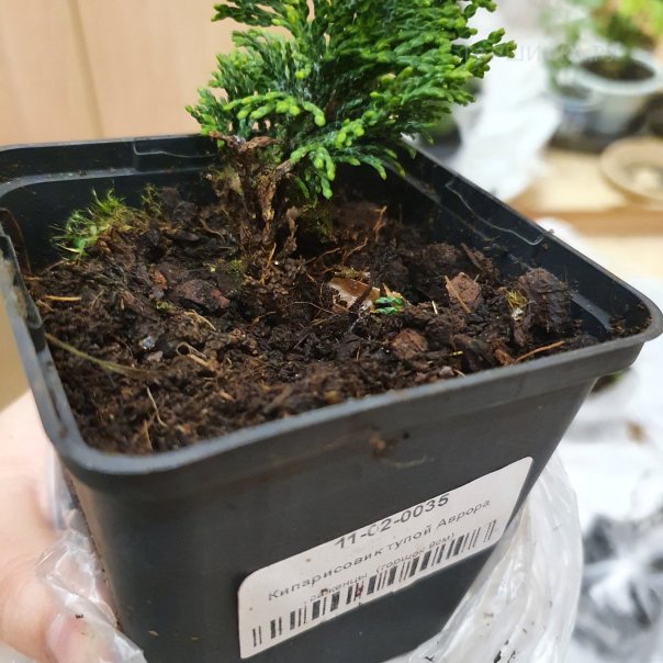 превью изображения отзыва