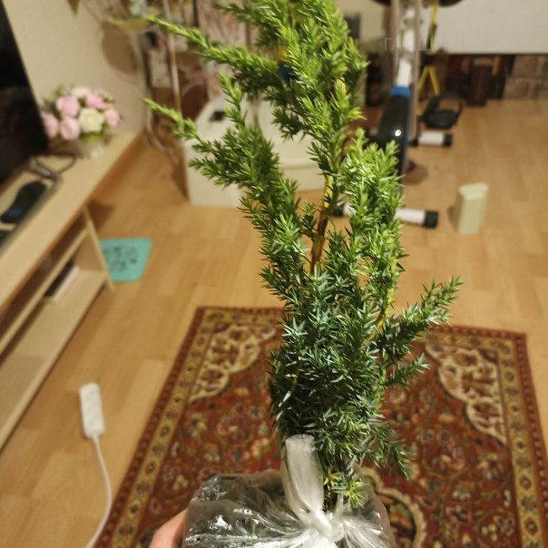 превью изображения отзыва