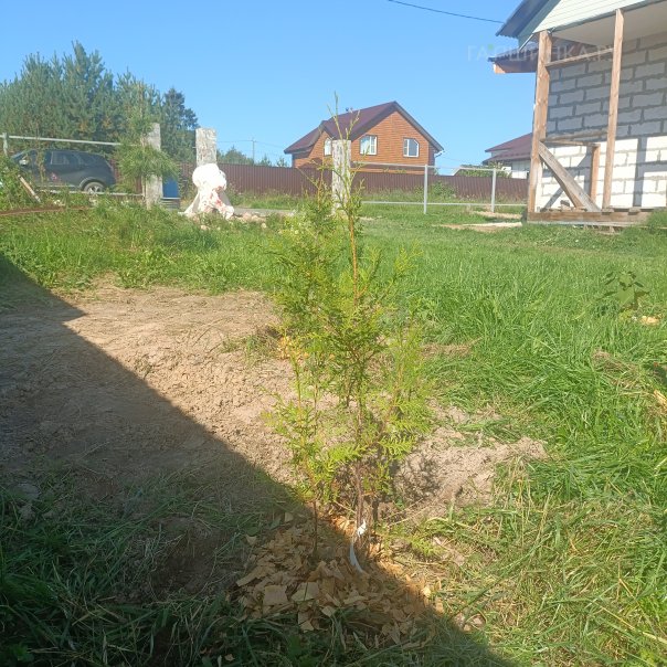 превью изображения отзыва