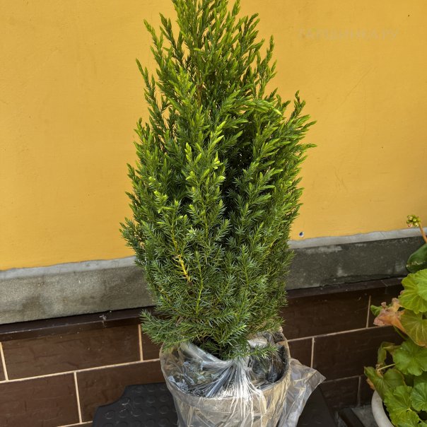 превью изображения отзыва