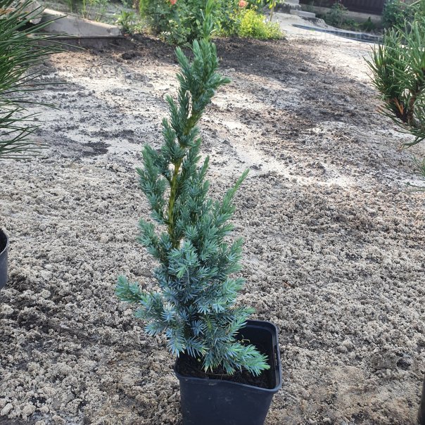 превью изображения отзыва