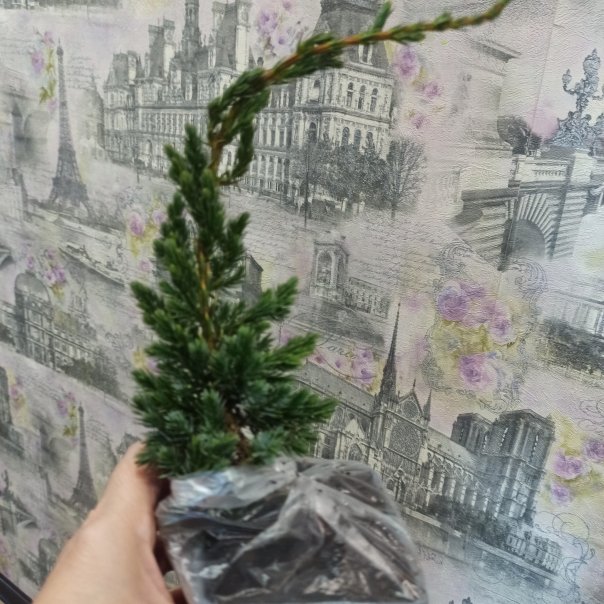 превью изображения отзыва