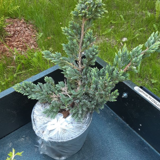 превью изображения отзыва