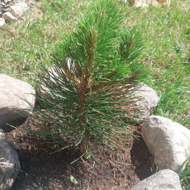 превью изображения отзыва