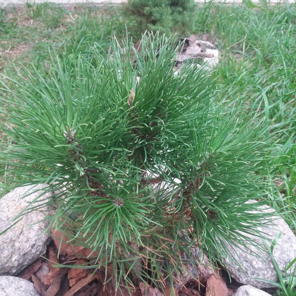 превью изображения отзыва