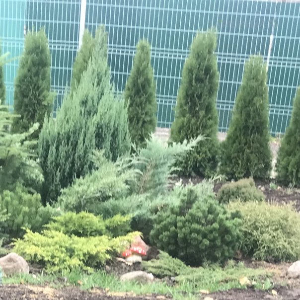 превью изображения отзыва