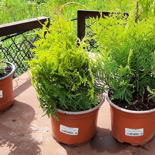 превью изображения отзыва