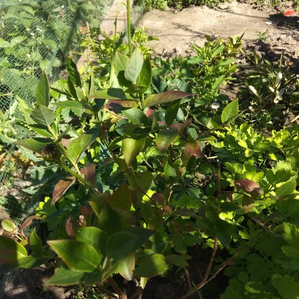 превью изображения отзыва