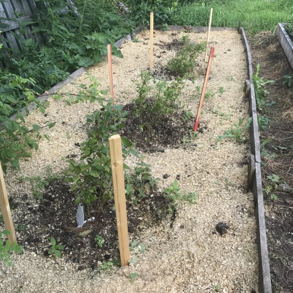 превью изображения отзыва