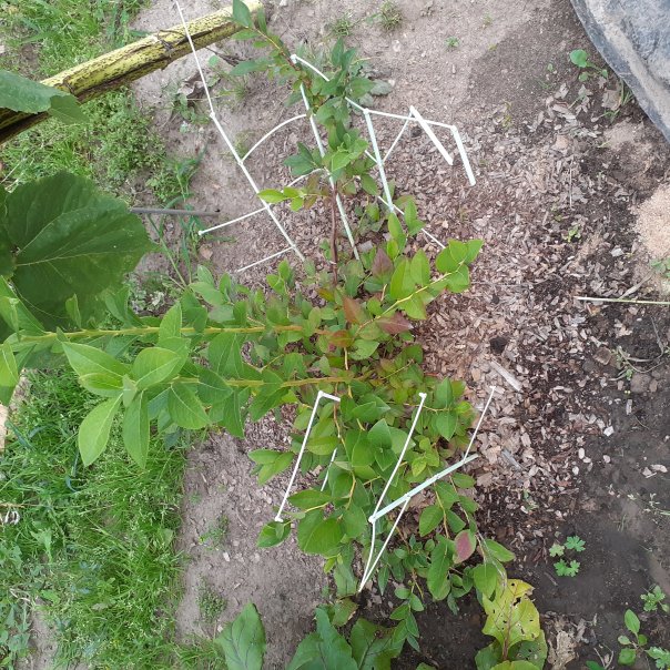 превью изображения отзыва