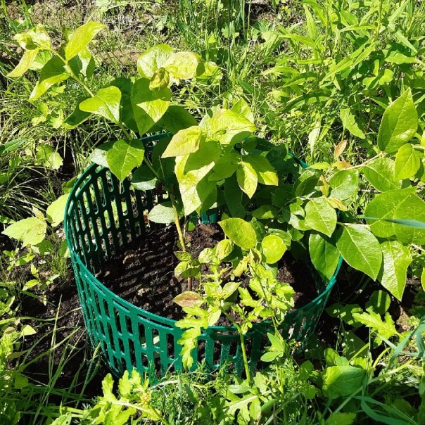 превью изображения отзыва