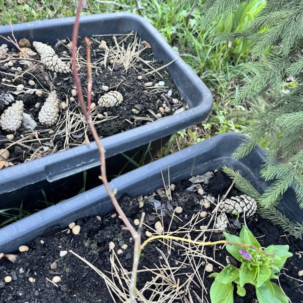 превью изображения отзыва