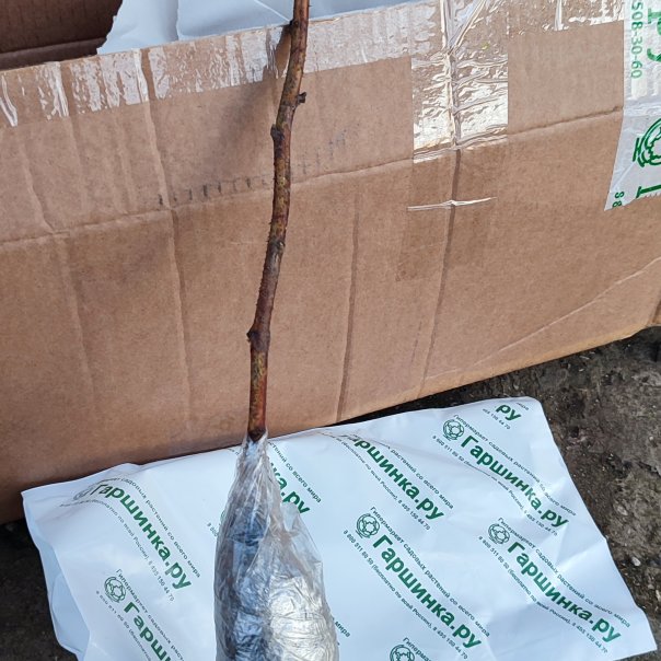 превью изображения отзыва