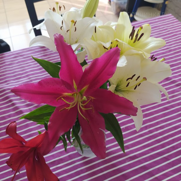 превью изображения отзыва