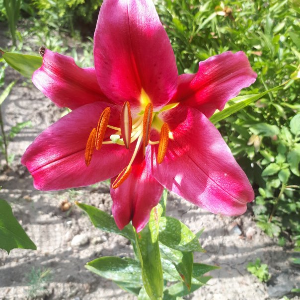 превью изображения отзыва