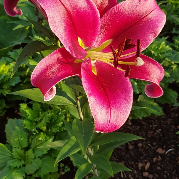 превью изображения отзыва