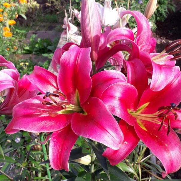 превью изображения отзыва