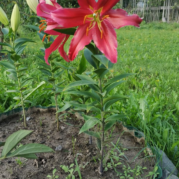 превью изображения отзыва