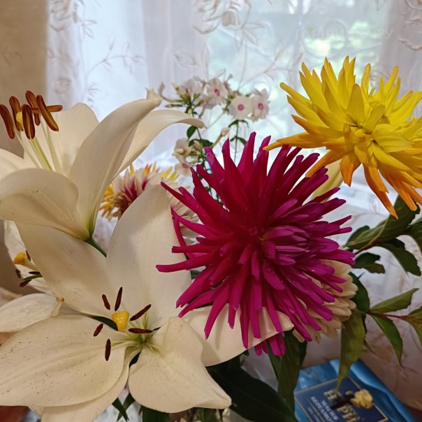 превью изображения отзыва