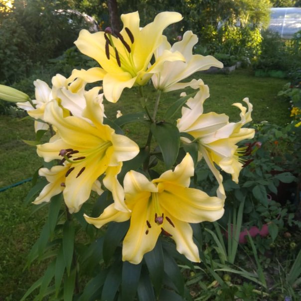 превью изображения отзыва