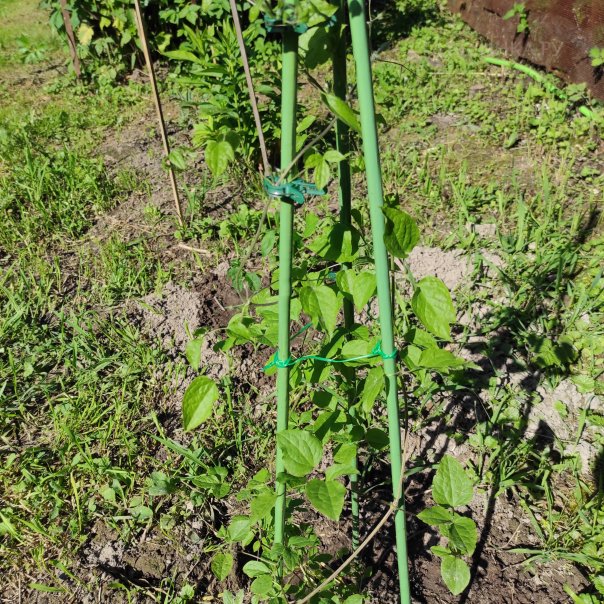 превью изображения отзыва