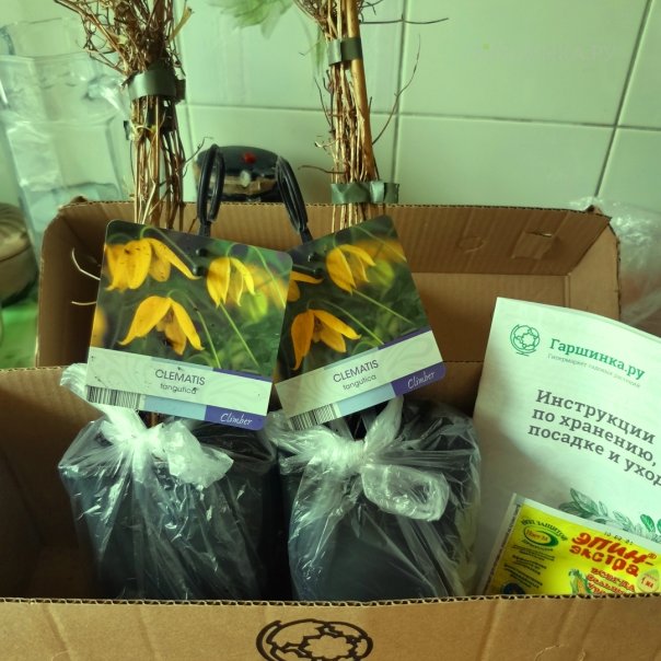 превью изображения отзыва