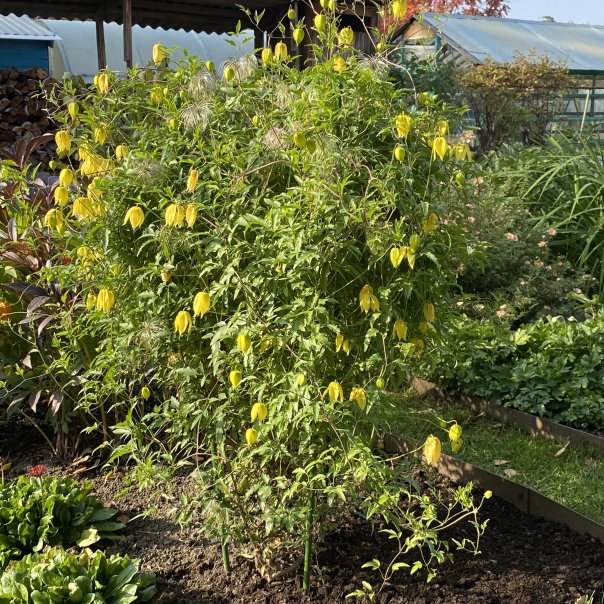 превью изображения отзыва