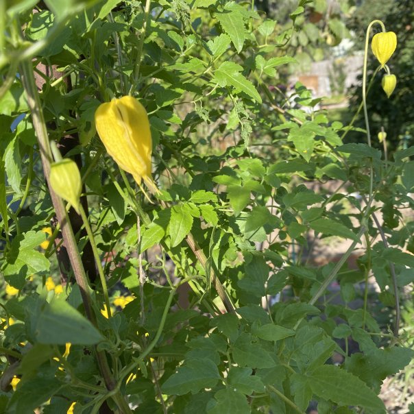 превью изображения отзыва